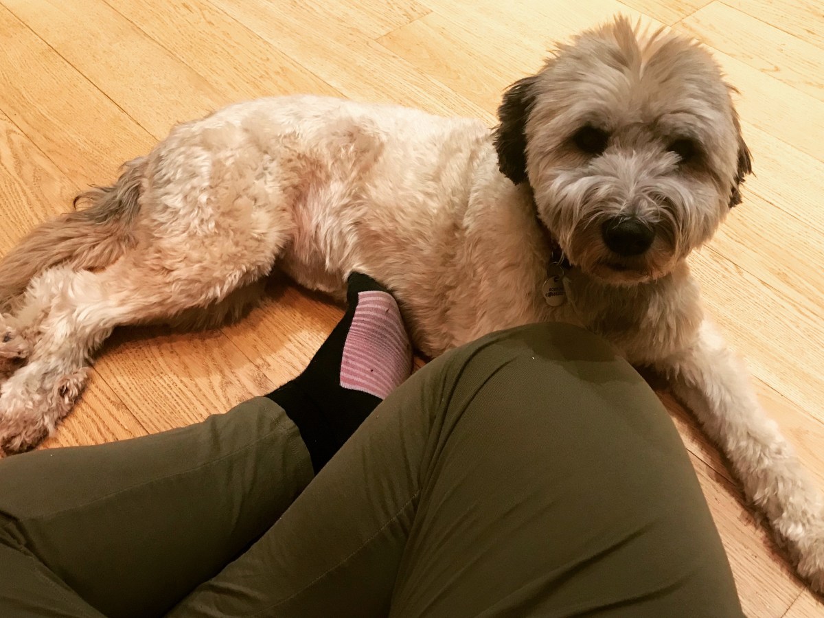 November 2018, Muswell&nbsp;Hill